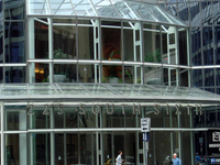 Capella University