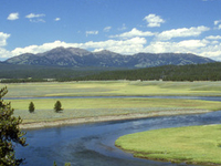 Hayden Valley Hayden Valley