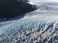 Exit Glacier