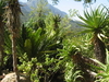Kirstenbosch National Botanical Garden Kirstenbosch National Botanical Garden