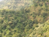 Chikhaldara