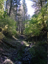 20 Miles East Of Townsend