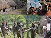 Papua Adventure Tours & Travel, Ltd Papua Adventure Tours & Travel, Ltd