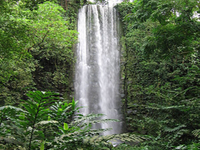 African Waterfall Aviary African Waterfall Aviary