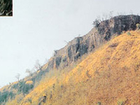 Pratapgarh Fort History In Marathi