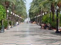 Alicante