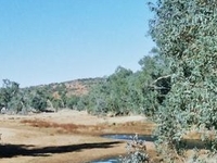 Alice Springs