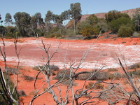 Alice Springs Desert Park
