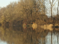 Alter Rhein