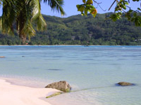 Anse a la Mouche