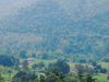 Araku Valley