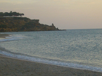Arenita Arenita