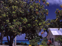 Funafuti
