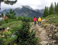 Aspen Ridge Loop