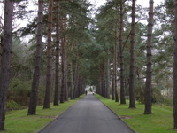 Brookwood