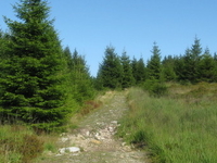 Auf dem Acker