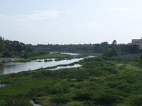 Adyar River