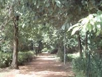 Bagh-E-Jinnah