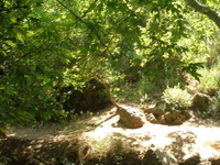 San Jose de los Arroyos