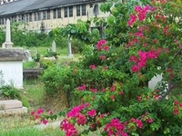 Bangkok Protestant Cemetery