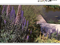 Barcelona Botanical Garden Barcelona Botanical Garden