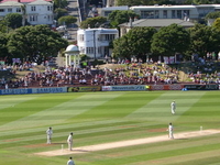 Basin Reserve Basin Reserve
