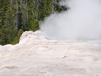 Bead Geyser Bead Geyser