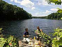Beartown State Forest