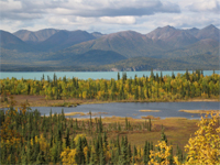 Beaver Pond Trail