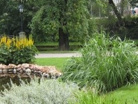 Riga Canal and Plantings