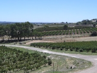Barossa Valley