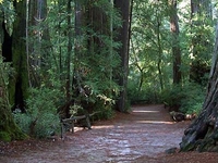 Big Basin Redwoods State Park Big Basin Redwoods State Park