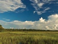 Big Talbot Island State Park