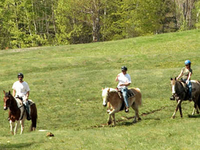 Black Mountain Black Mountain