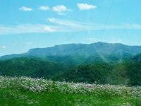Black Mountain