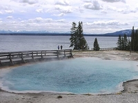 Black Pool