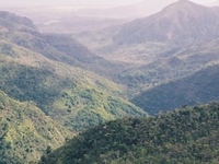 Black River Gorges National Park Black River Gorges National Park