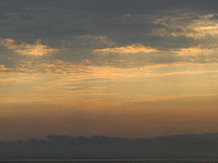 Arbon Arbon