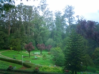 Botanical Garden Ooty