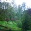 Botanical Garden Ooty