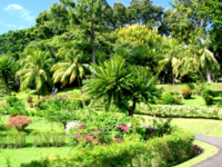 Botanical Gardens