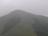 Brahmagiri Hills