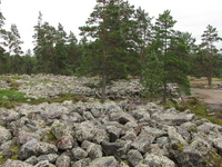 Sammallahdenmaki