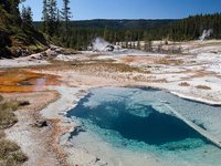 Bronze Geyser Bronze Geyser