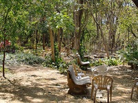 Bund Garden Bund Garden