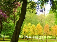 Bute Park Bute Park