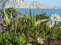 Bare Island