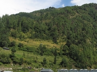 Barot Barot