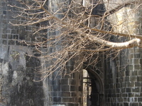 Bassein Fort