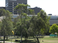 Batman Park